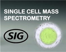 Single Cell