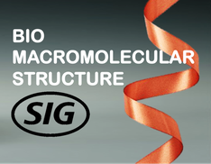 Biomacromolecular Structure