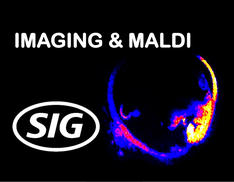 Imaging and MALDI