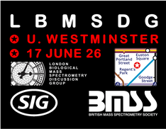 LBMSDG Meeting - June 2026
