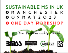 Sustainability in MS Workshop
