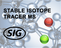 Stable Isotope Tracer
