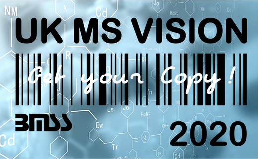 UK Vision for MS